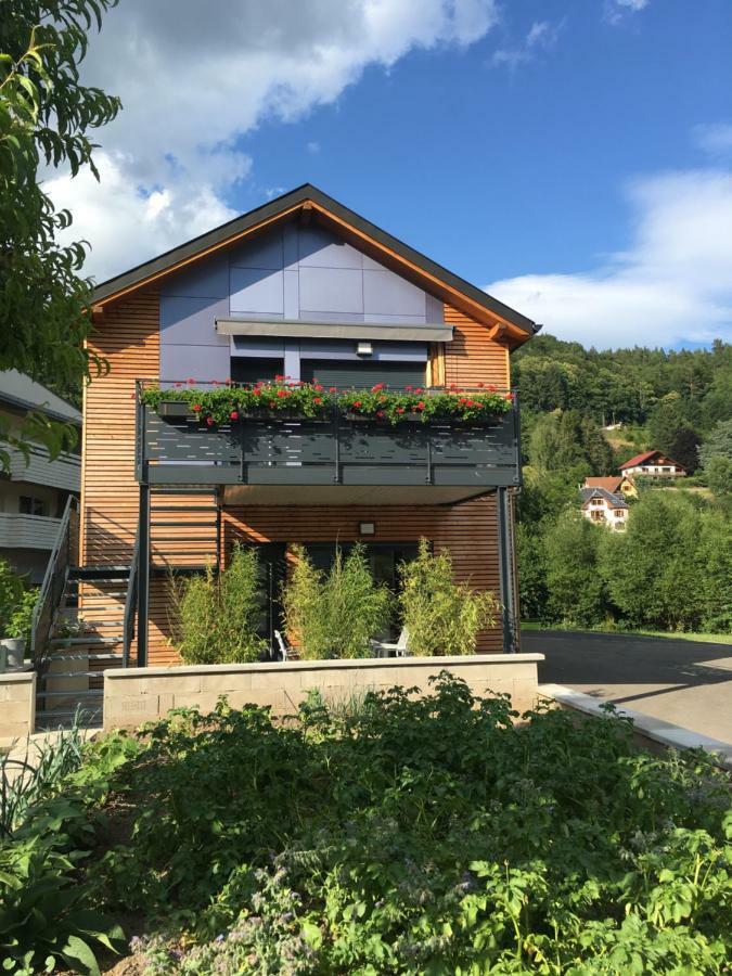 Apartament Au Jardin De Lina Lapoutroie Zewnętrze zdjęcie